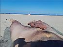 Op het strand, foto 700x526, 2 reacties, 10 stemmen