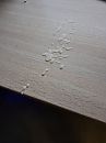 Resultaat ''even'' spelen, foto 3000x4000, 2 reacties, 6 stemmen