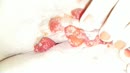 Samen Fruit eten, film 00:00:00, 12 reacties, 76 stemmen