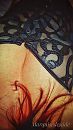 Sexy...., foto 720x1280, 0 reacties, 15 stemmen