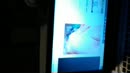 She will like ut, film 00:00:21, 0 reacties, 3 stemmen