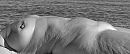 Side view, foto 1200x503, 2 reacties, 19 stemmen