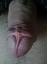 S'morgens ..., foto 1536x2048, 0 reacties, 7 stemmen