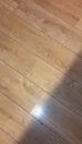 Somebody is sneaking up on me., film 00:00:30, 8 reacties, 127 stemmen