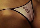 Stel3342, foto 1600x1148, 31 reacties, 97 stemmen