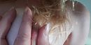 Stijf, foto 4000x2014, 24 reacties, 177 stemmen