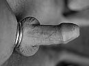 Strak, foto 4000x3000, 2 reacties, 16 stemmen