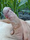 Tussen de mais, foto 2448x3264, 7 reacties, 9 stemmen