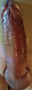 Uhhh, foto 1113x3013, 2 reacties, 1 stemmen