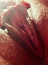 Van heeeeel dichtbij xx, foto 960x1280, 23 reacties, 124 stemmen