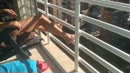 Vandaag live op ons terras, film 00:00:15, 3 reacties, 34 stemmen
