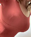 Vandaag is rood....., foto 848x988, 8 reacties, 110 stemmen