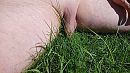 Verstopt in het gras, foto 4000x2256, 1 reacties, 11 stemmen