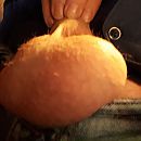 Volle ballen, foto 2448x2448, 2 reacties, 3 stemmen