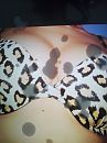 Voor P&P, foto 3000x4000, 2 reacties, 10 stemmen