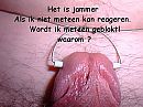 Waarom, foto 640x480, 1 reacties, 13 stemmen