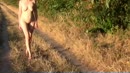 Wandelen in het bos, film 00:00:07, 40 reacties, 262 stemmen