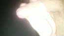 Wanneer.., film 00:00:13, 6 reacties, 13 stemmen