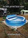 Wat een fantastische weekend!, foto 1050x1400, 5 reacties, 31 stemmen