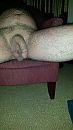 Wie heeft zin, foto 900x1600, 5 reacties, 16 stemmen