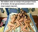 Wie wil er nog een poesje, foto 960x814, 2 reacties, 15 stemmen