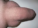 Wie wil hem groot maken?, foto 2048x1536, 2 reacties, 1 stemmen