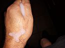 Wie wil me proeven..., foto 4000x3000, 1 reacties, 2 stemmen