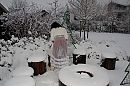 Winter, foto 3088x2056, 18 reacties, 139 stemmen