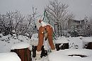 Winter, foto 3088x2056, 7 reacties, 124 stemmen