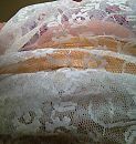 Wit, foto 480x504, 5 reacties, 36 stemmen