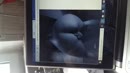 Xxx, film 00:00:09, 1 reacties, 3 stemmen