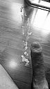Zaad!!, foto 2250x4000, 2 reacties, 14 stemmen