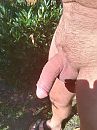 Zelfde ding, andere hoek, foto 2976x3968, 4 reacties, 13 stemmen
