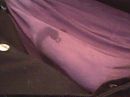 Zin, foto 320x240, 2 reacties, 5 stemmen