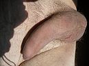Zonnende pik, foto 2048x1536, 0 reacties, 1 stemmen