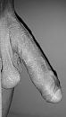 ..., foto 554x960, 2 reacties, 5 stemmen