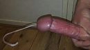 ., foto 1378x776, 3 reacties, 9 stemmen
