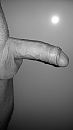 ..., foto 2121x3771, 4 reacties, 10 stemmen
