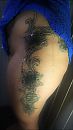 ..., foto 955x1699, 3 reacties, 62 stemmen