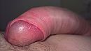 ..., foto 4000x2251, 2 reacties, 28 stemmen