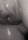 ..., foto 1498x2136, 6 reacties, 60 stemmen