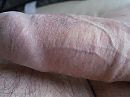aders, foto 2048x1536, 0 reacties, 4 stemmen