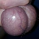 adertjes, foto 922x926, 2 reacties, 5 stemmen