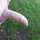 al teveel ISM gekeken ...horny, foto 3456x3456, 3 reacties, 8 stemmen