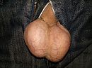 balls out, foto 3264x2448, 9 reacties, 9 stemmen