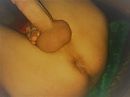 bi, foto 2048x1536, 5 reacties, 22 stemmen