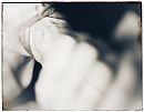 ...bright light, foto 1679x1314, 5 reacties, 47 stemmen