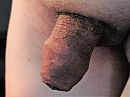 brr koud, foto 1710x1283, 34 reacties, 65 stemmen