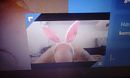 bunny, foto 2048x1232, 0 reacties, 0 stemmen