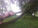 chillen op een boom, foto 2048x1536, 4 reacties, 8 stemmen